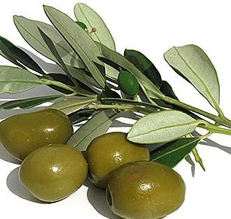 olive.jpg